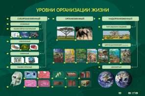 Электрифицированный стенд "Уровни организации жизни" - fgospostavki.ru - Белогорск