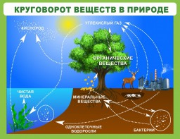 Стенд "Круговорот веществ" - fgospostavki.ru - Белогорск