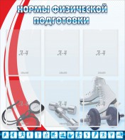 Стенд "Нормы физической подготовки" Вариант 2 - fgospostavki.ru - Белогорск