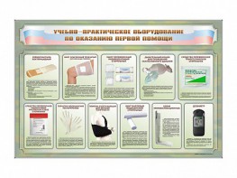 Стенды "Учебно-практическое оборудование по оказанию первой помощи" - fgospostavki.ru - Белогорск