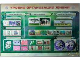 Электрифицированный стенд "Уровни организации жизни" - fgospostavki.ru - Белогорск