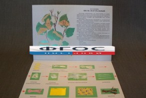 Коллекция "Шелк для начальной школы" - fgospostavki.ru - Белогорск