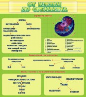 Стенд "От клетки до организма" - fgospostavki.ru - Белогорск