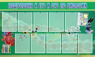 Стенд "Подготовка к ЕГЭ и ОГЭ по биологии" Вариант 2 - fgospostavki.ru - Белогорск