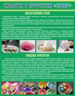 Стенд "Биология в профессии "повар"" - fgospostavki.ru - Белогорск