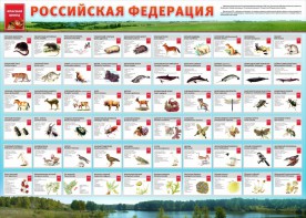 Стенд "Красная книга РФ" - fgospostavki.ru - Белогорск