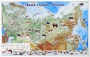 Магнитные карточки "Животные" - fgospostavki.ru - Белогорск