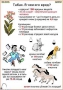 Комплект кодотранспарантов "Ядовитые растения" - fgospostavki.ru - Белогорск