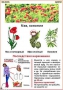 Комплект кодотранспарантов "Ядовитые растения" - fgospostavki.ru - Белогорск